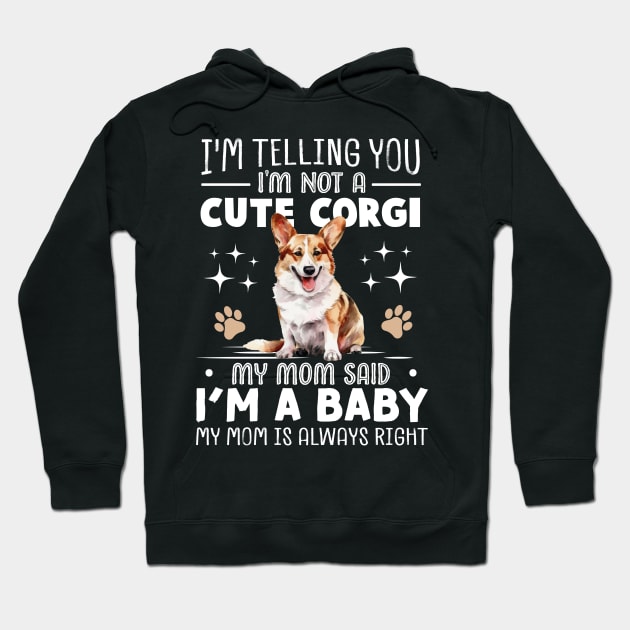 I'm telling you I'm not a corgi my mom said I'm a baby and my mom is always right Hoodie by TheDesignDepot